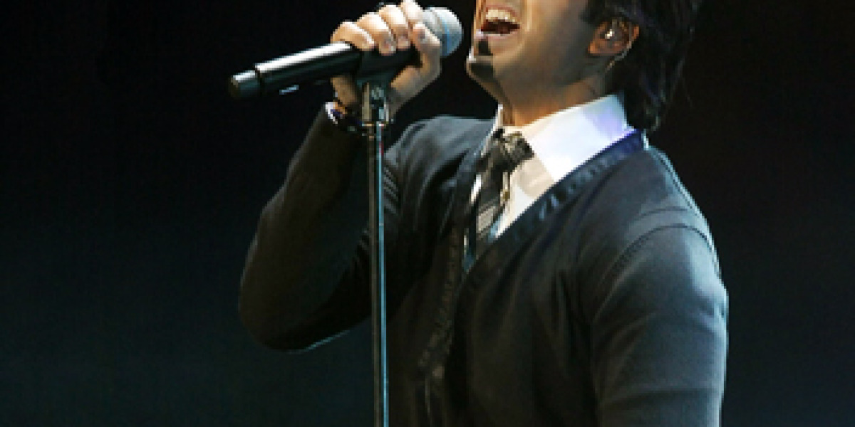 Luis Fonsi en concierto